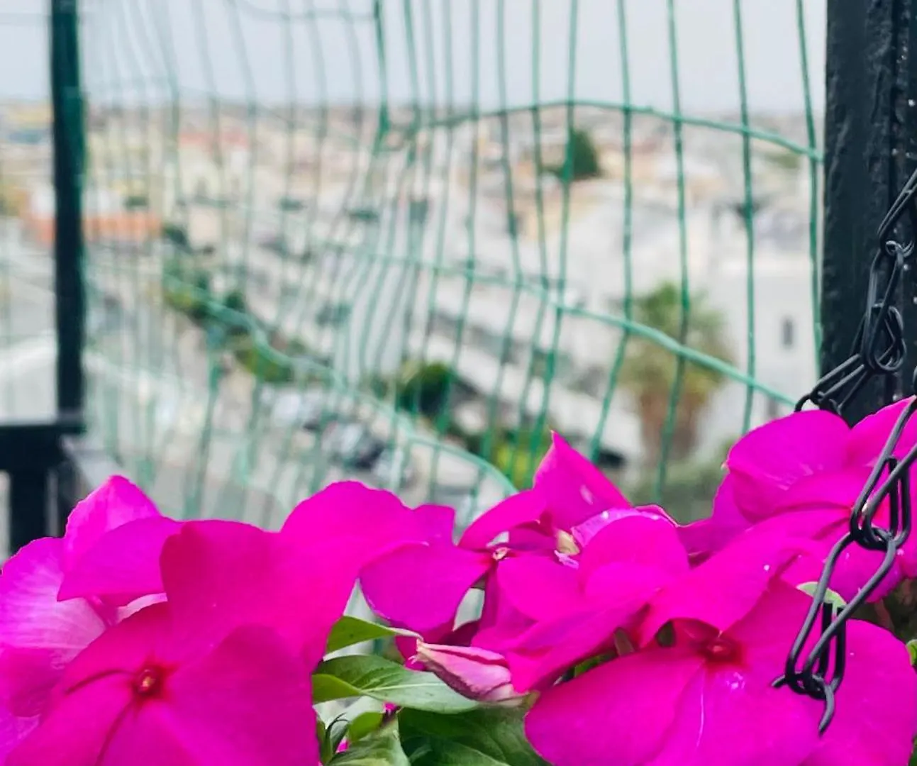Karalis City Flower Cagliari 0*,  Itália
