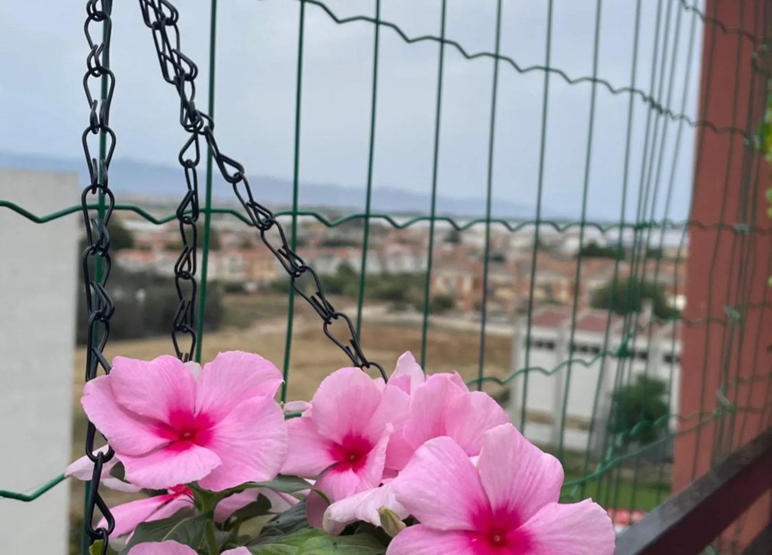 Karalis City Flower Cagliari Itália